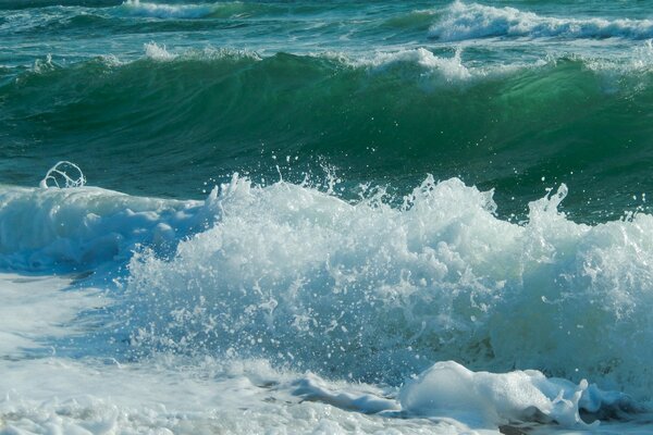 Vagues de la mer bruyante