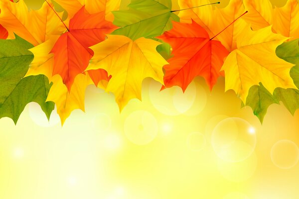Фон осень разноцветные листья клена