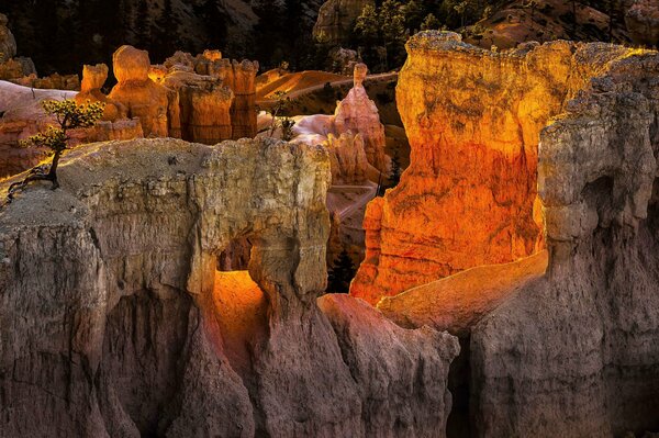 Bryce Canyon dans le parc National des États-Unis