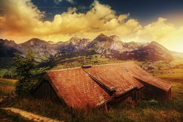 A house with a red roof and trees