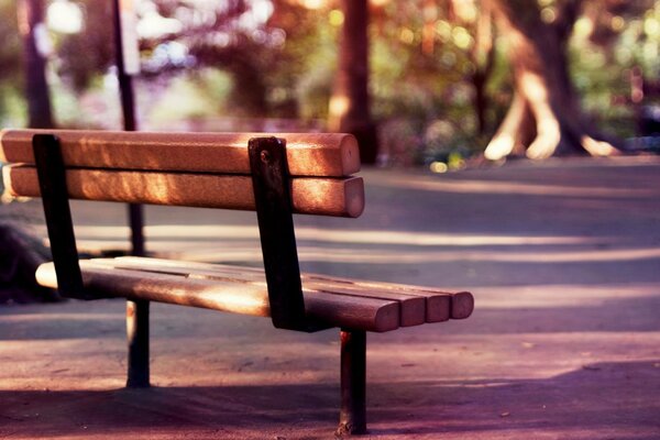 Fonds d écran Widescreen. Le banc d un matin ensoleillé