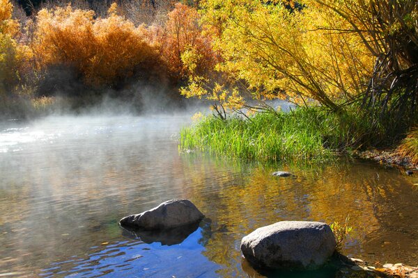 Flusssteine im Morgennebel