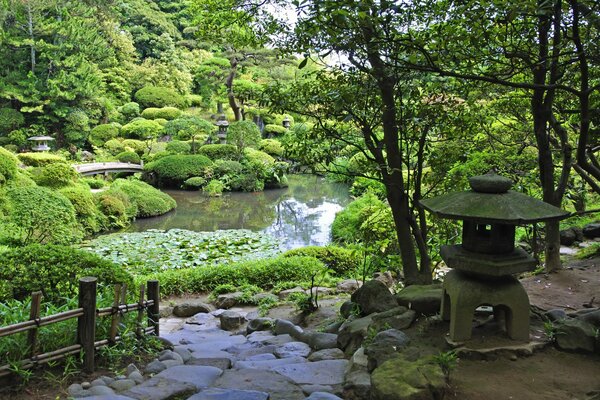 A path of stones on a pond in the garden