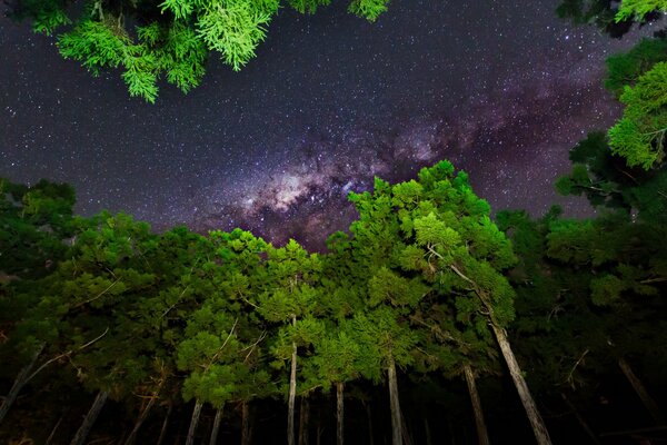 Ночьное небо очень красиво звездами