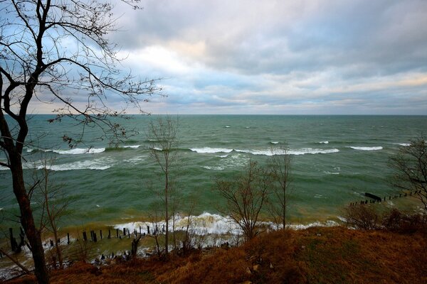 Herbstvorsprung am Meer vor dem Hintergrund eines bewölkten Himmels