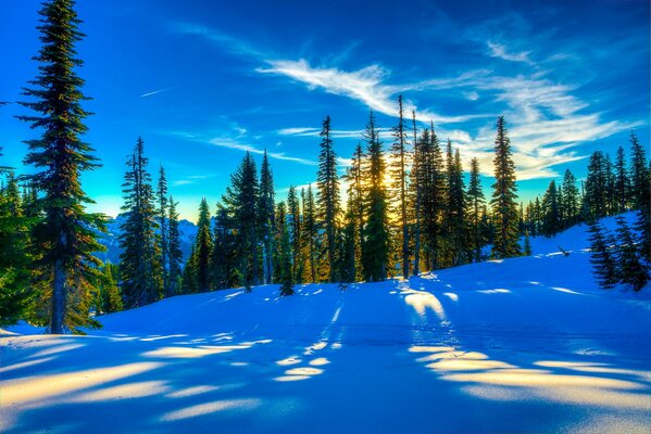 Puesta de sol en la ladera en invierno