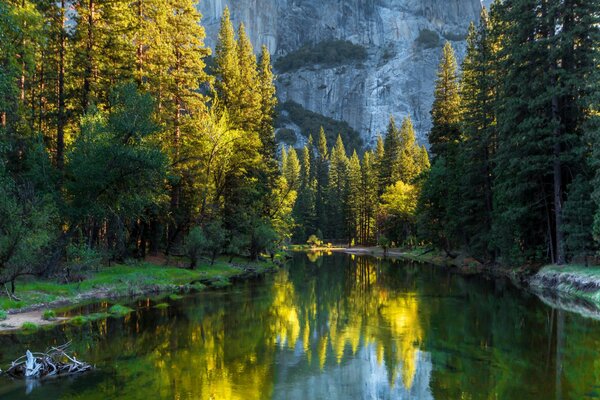 Der Yosemite National Park in Kalifornien, USA, bietet Berge, einen schönen Wald , eine Vielzahl von Bäumen , einen Gebirgsfluss