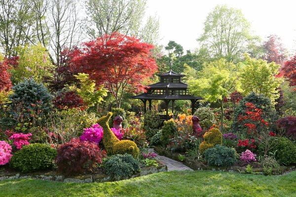 Gazebo in the garden among different plants