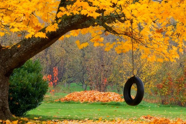 Schaukeln im bunten Herbstwald