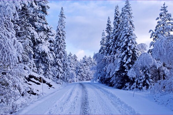 Straße im Winter im Wald vor dem Hintergrund des blauen Himmels