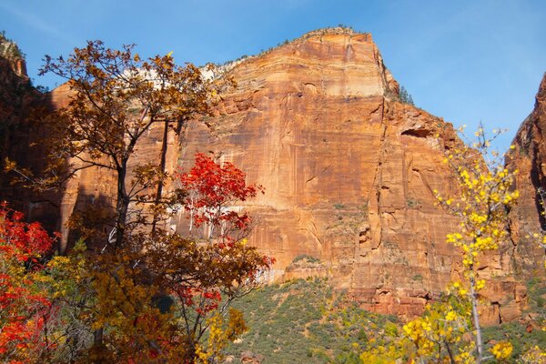 Glatter Felsen im Herbstlaub