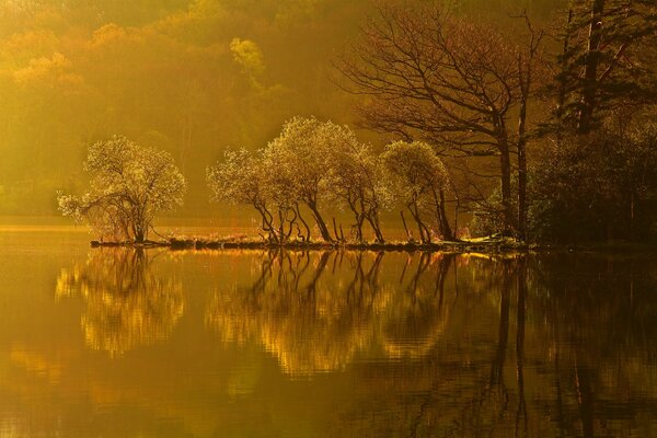 Herbst Sonnenuntergang am Waldsee