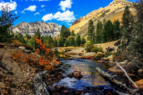 Górska rzeka w górach jesienią