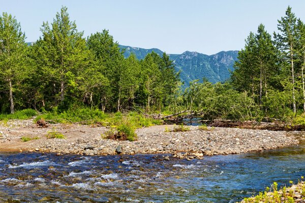 Mountain stream in the Kamchatka mountains