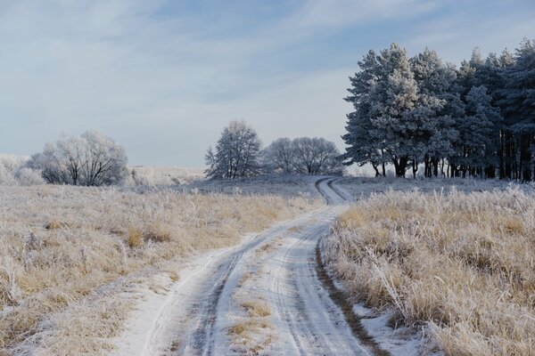 Frost auf der Straße, im Gras, in Bäumen