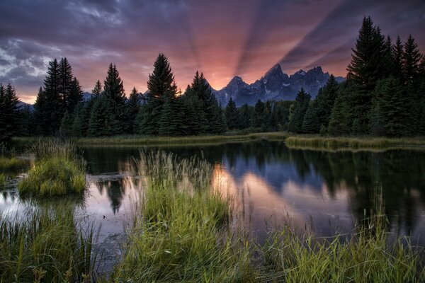 Rivière dans les forêts de contreforts au coucher du soleil