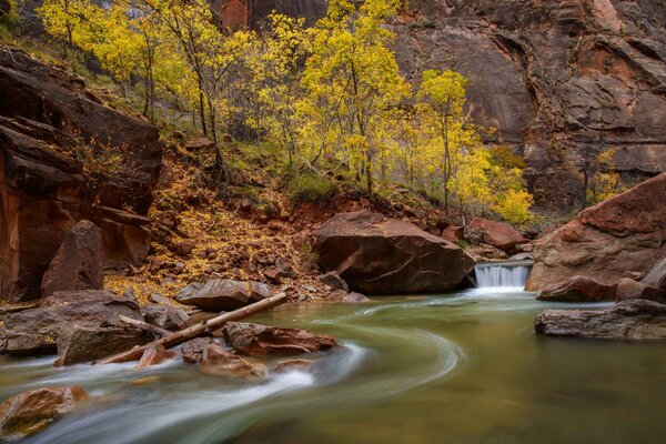 Mountain river in Zion National Park