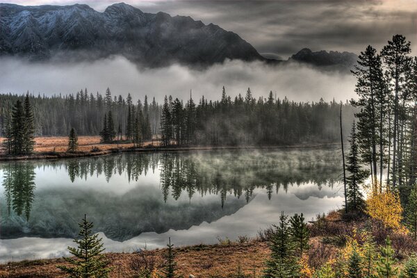 Nebbia sul lago della foresta in autunno