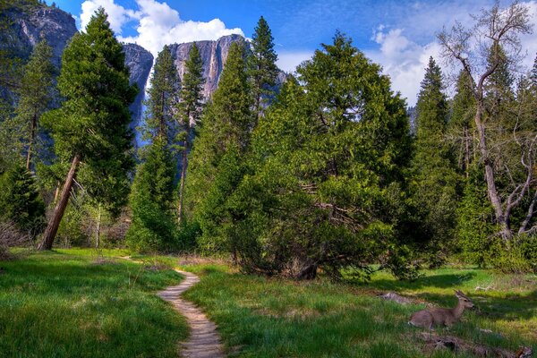 Parque nacional de Yosemite en California, paisaje