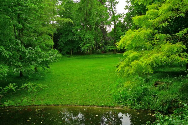 Albert Kahn est un jardin japonais à Francie et avec un étang et des arbres sur une pelouse verte