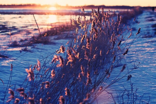 A cold spring morning with snow in the grass