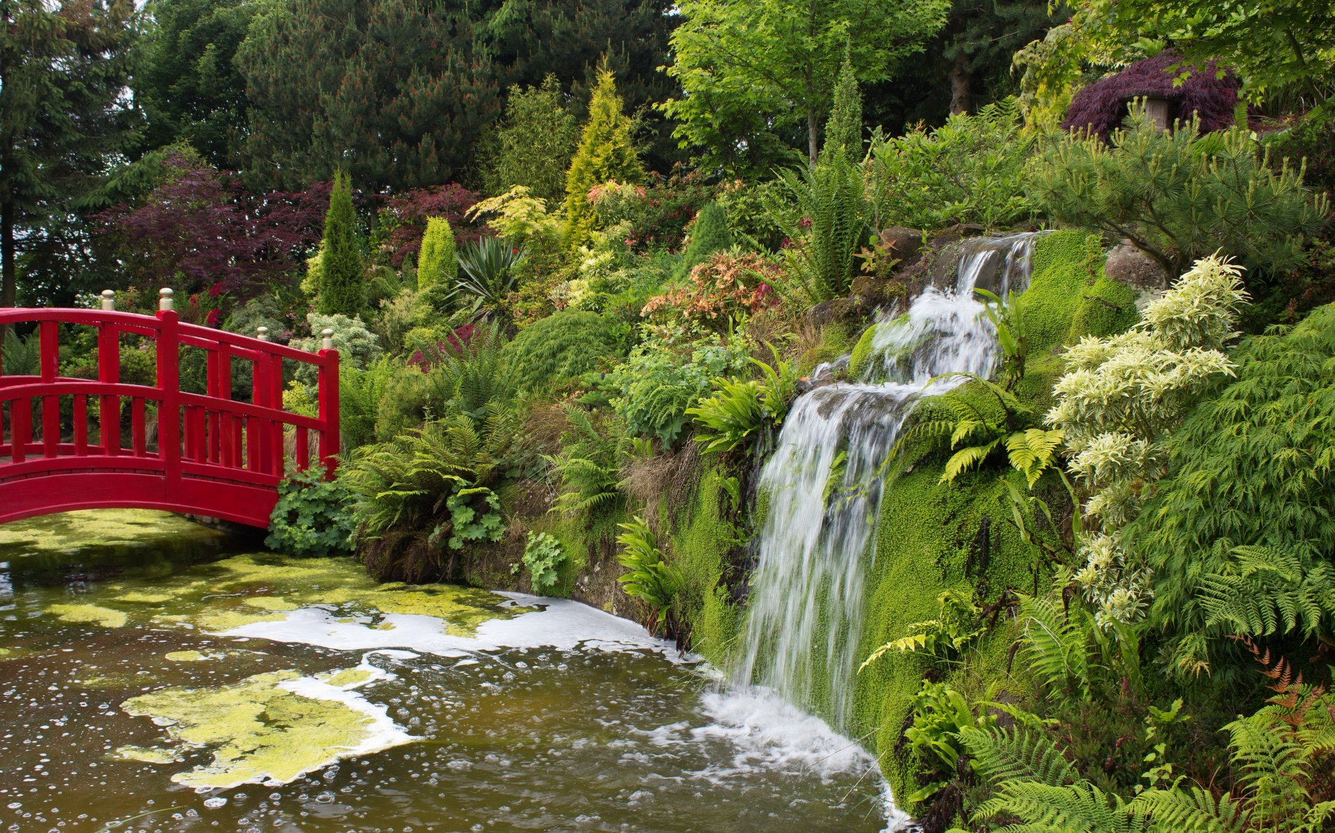 regno unito parco giardini di mount pleasant stagno ponte verde cespugli cascata