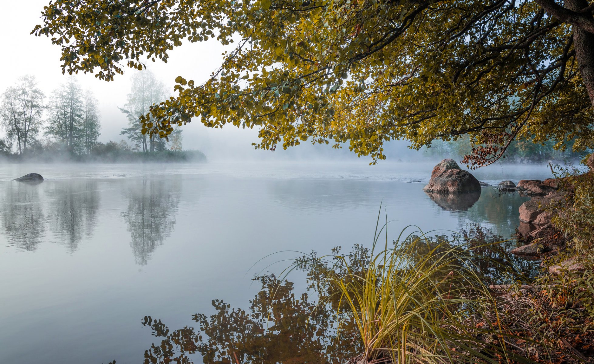 mañana amanecer niebla rocas lago estanque bosque otoño