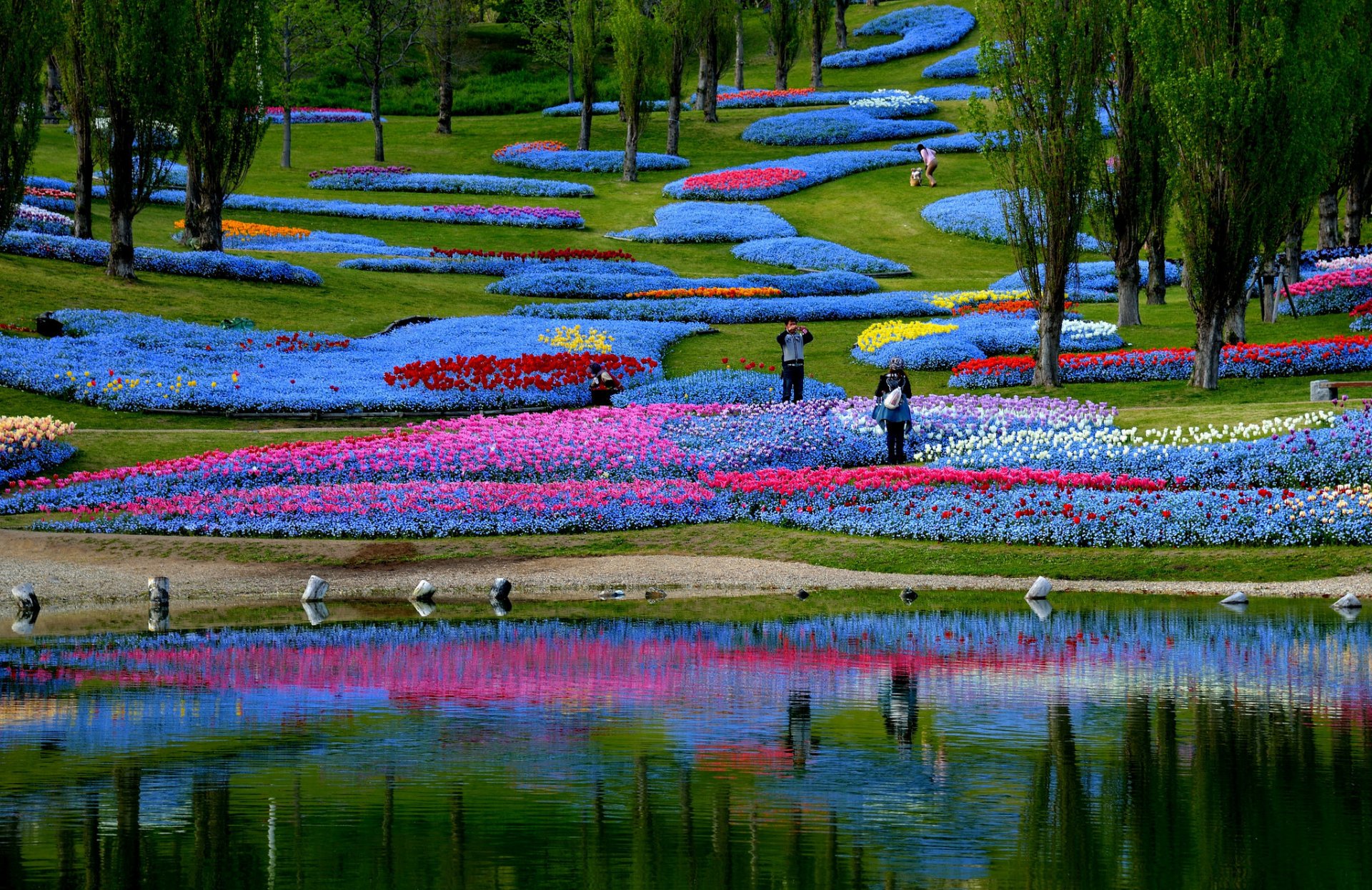 giappone parco stagno aiuola fiori