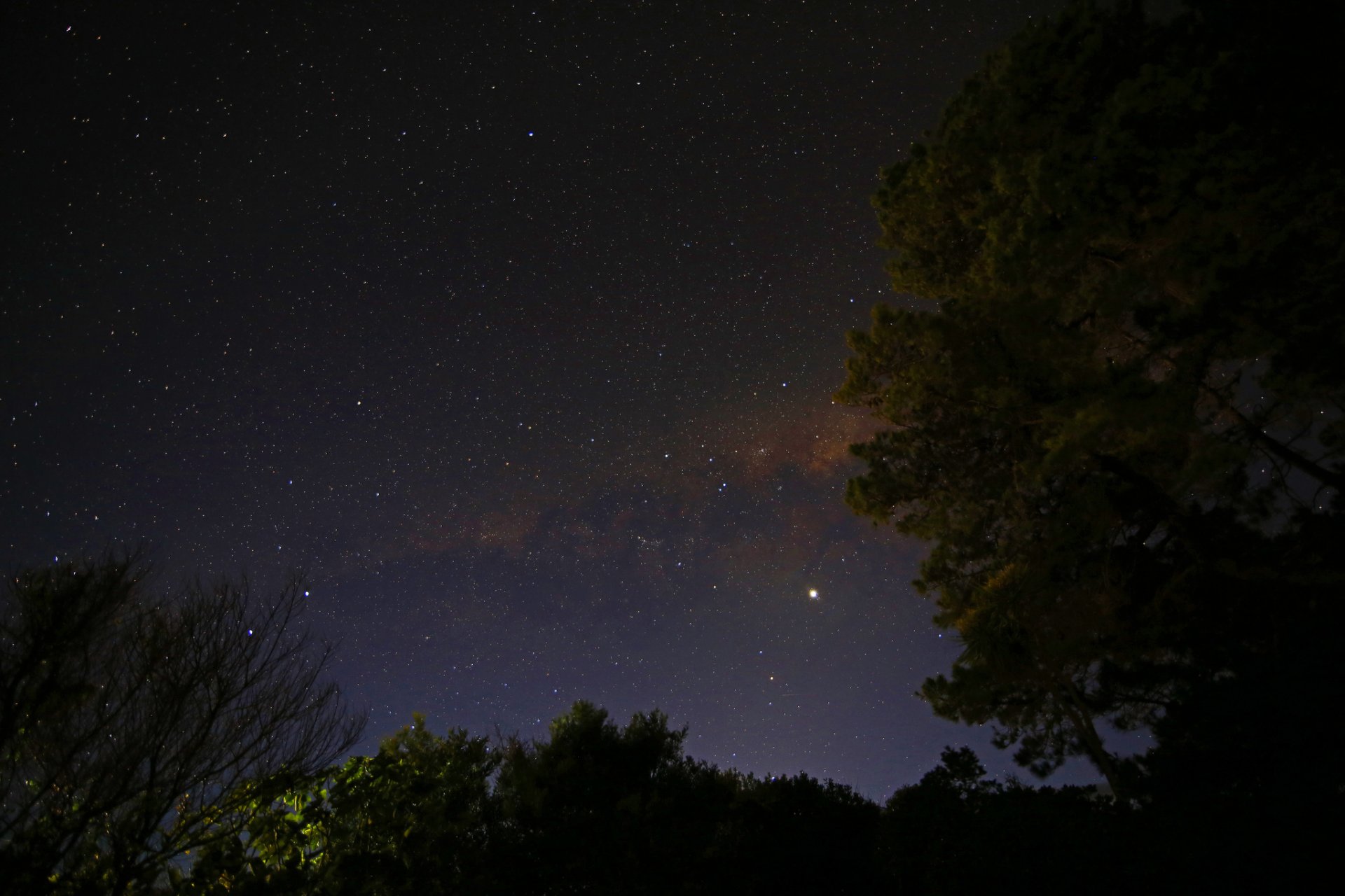 vía láctea noche estrellas cielo árboles