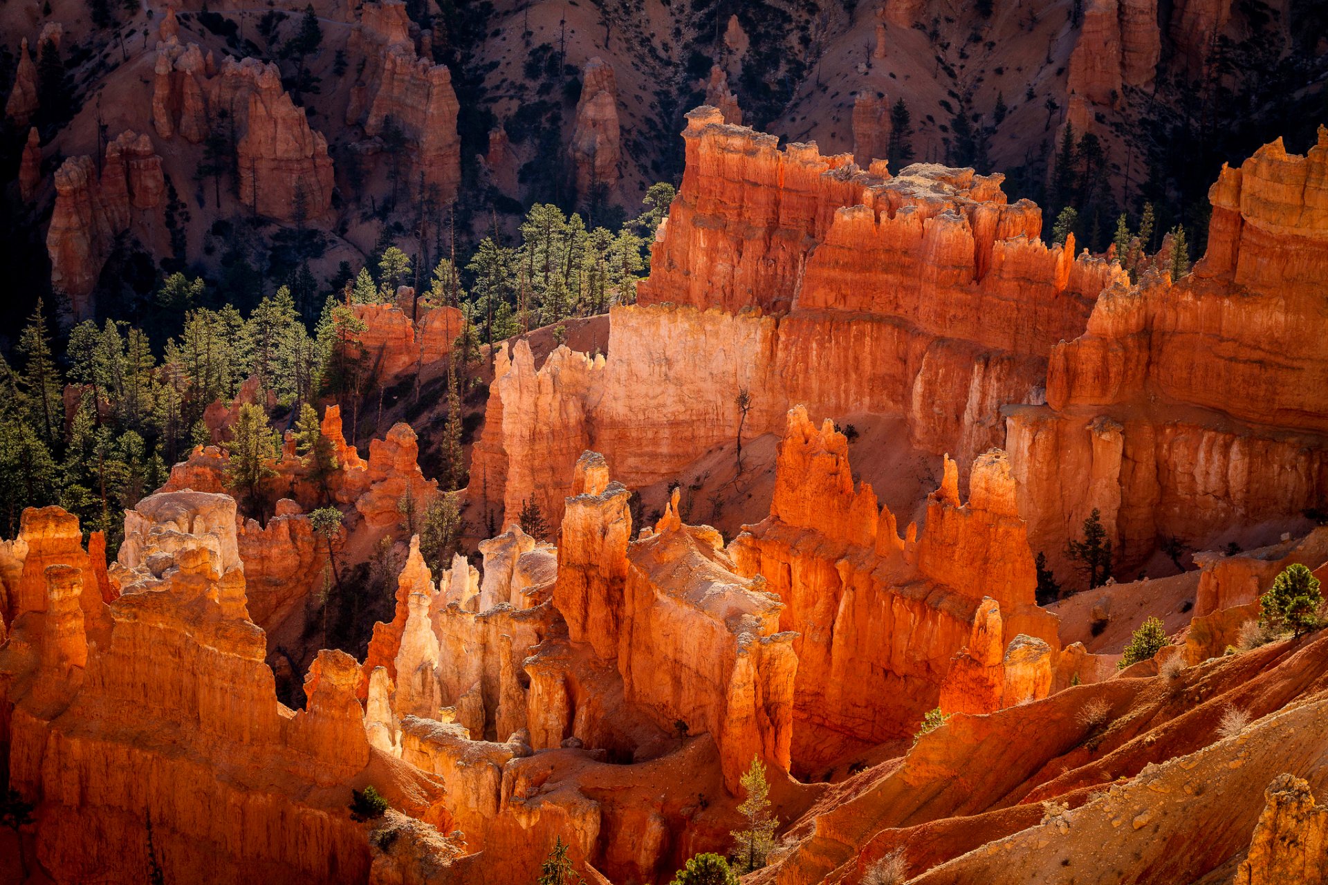 stany zjednoczone utah park narodowy bryce canyon struktury geologiczne hoodoo skały las poranek