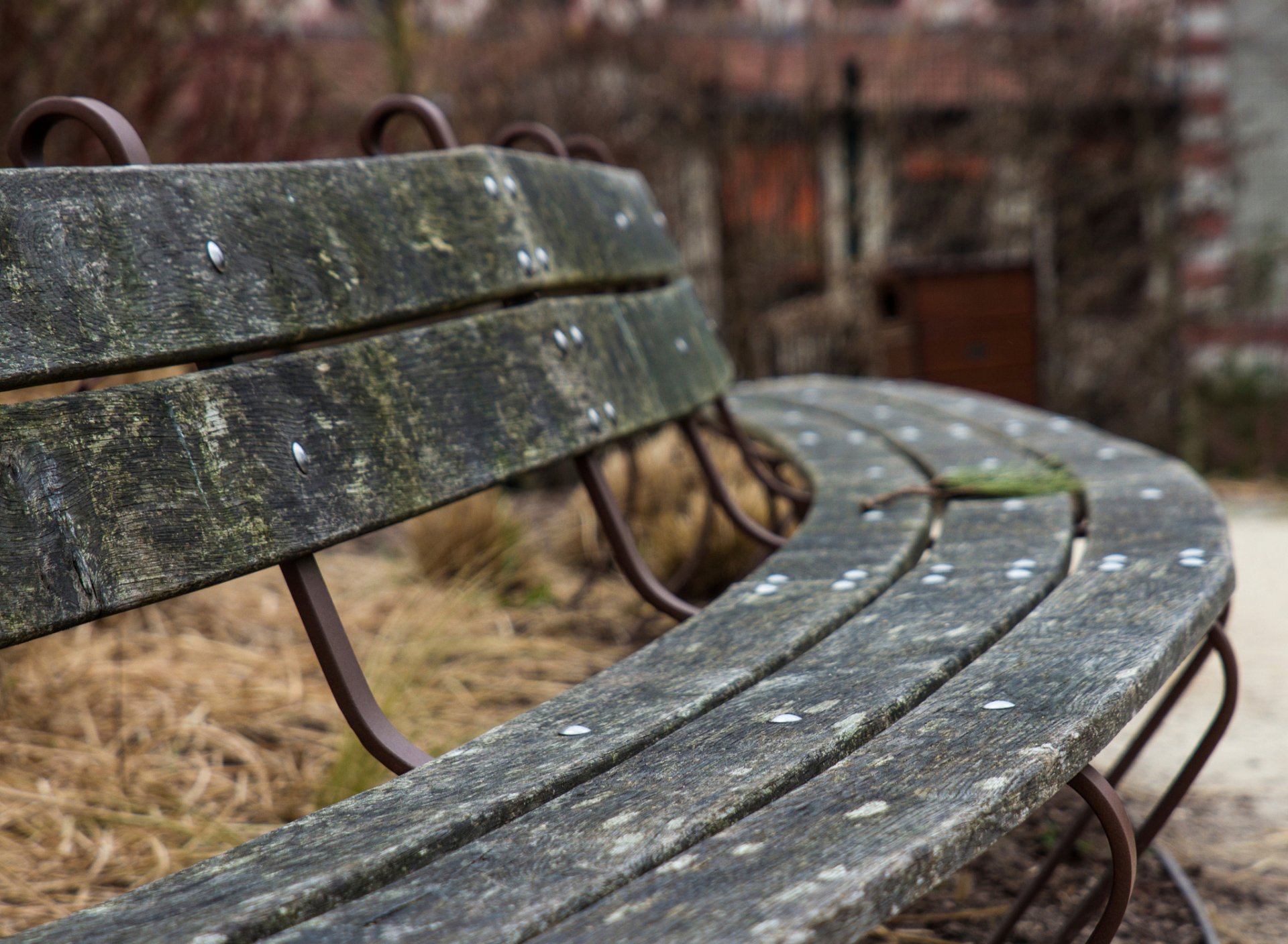 banc circulaire banco bokeh