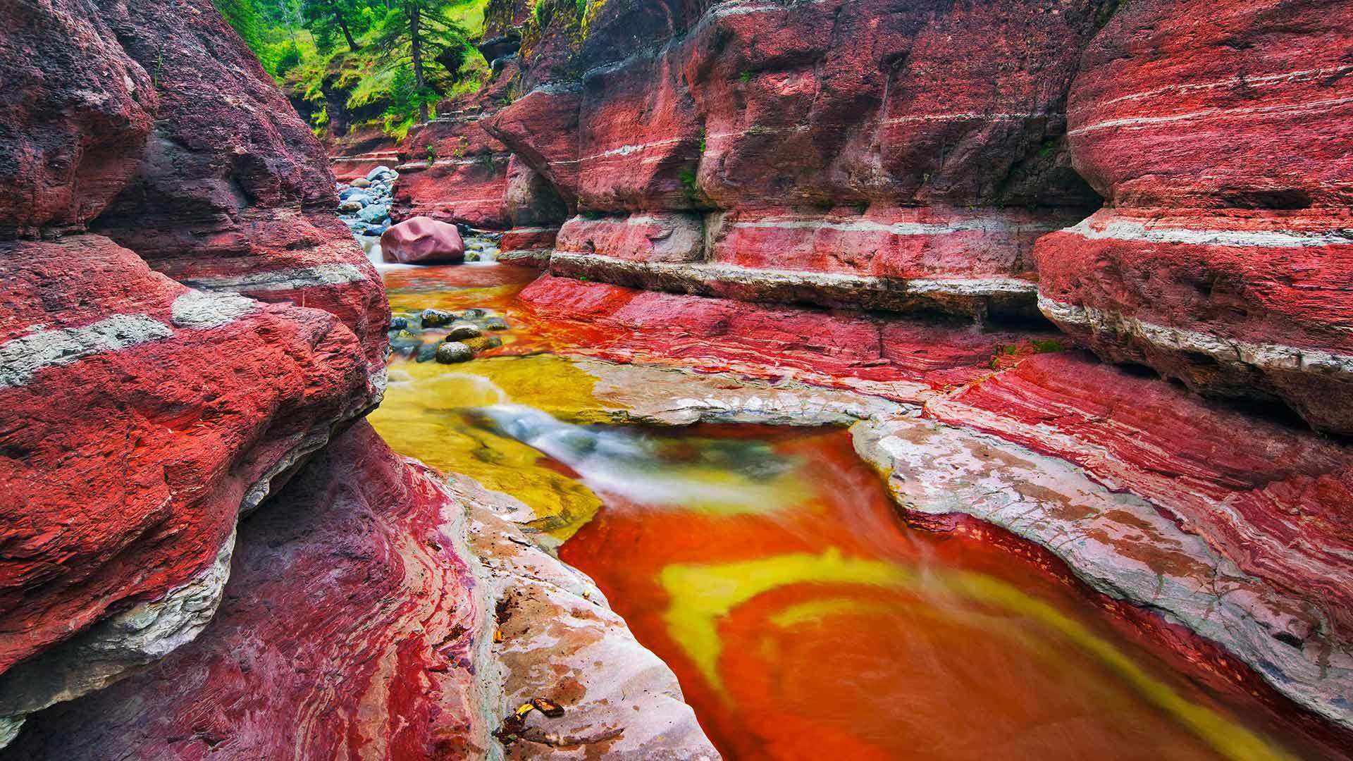 red rock canyon канада альберта каньон красных камней скалы ручей природа