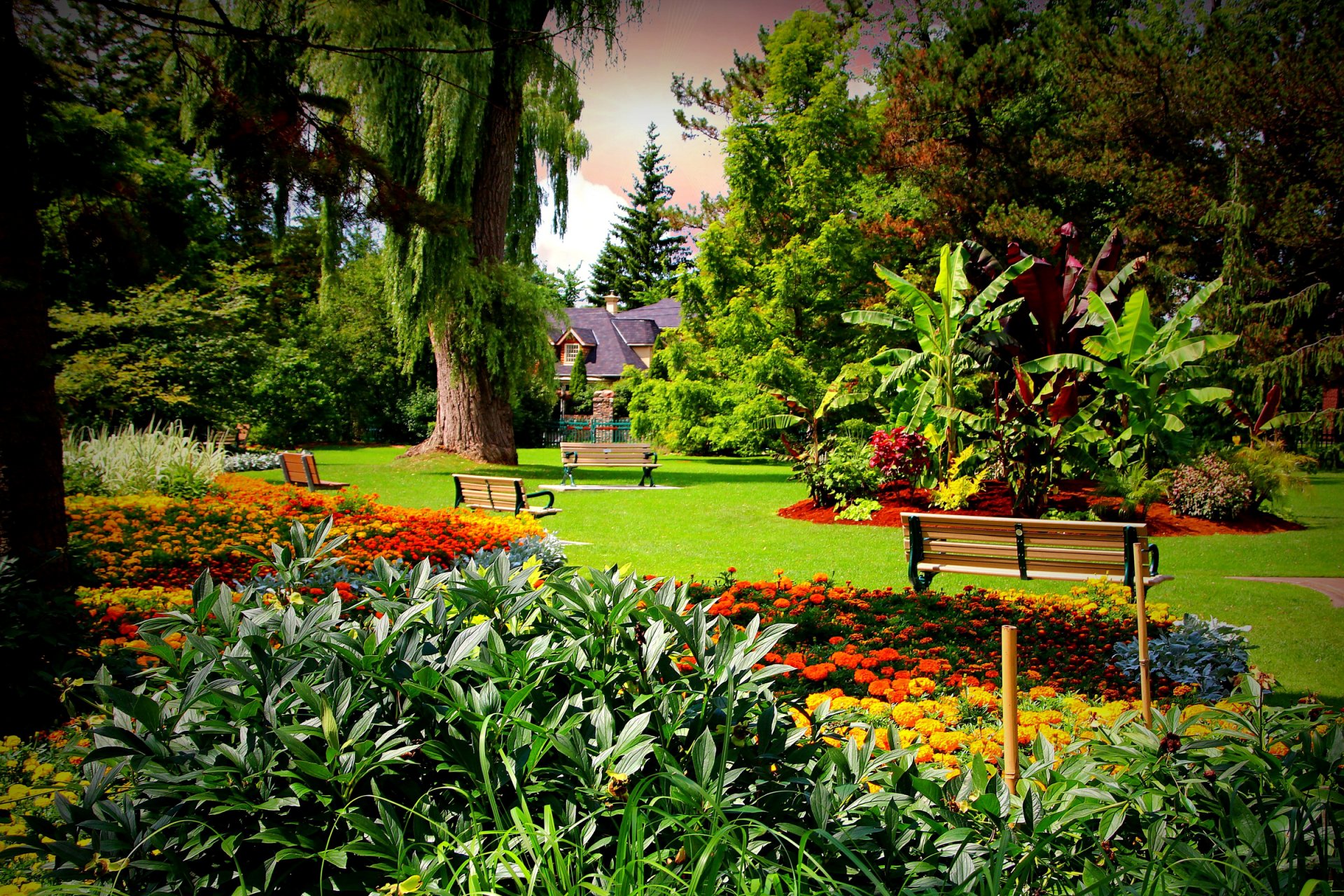 kanada edwards gardens toronto ogród dom ogrodzenie drzewa trawnik ławki ławki krzewy kwiaty nagietki