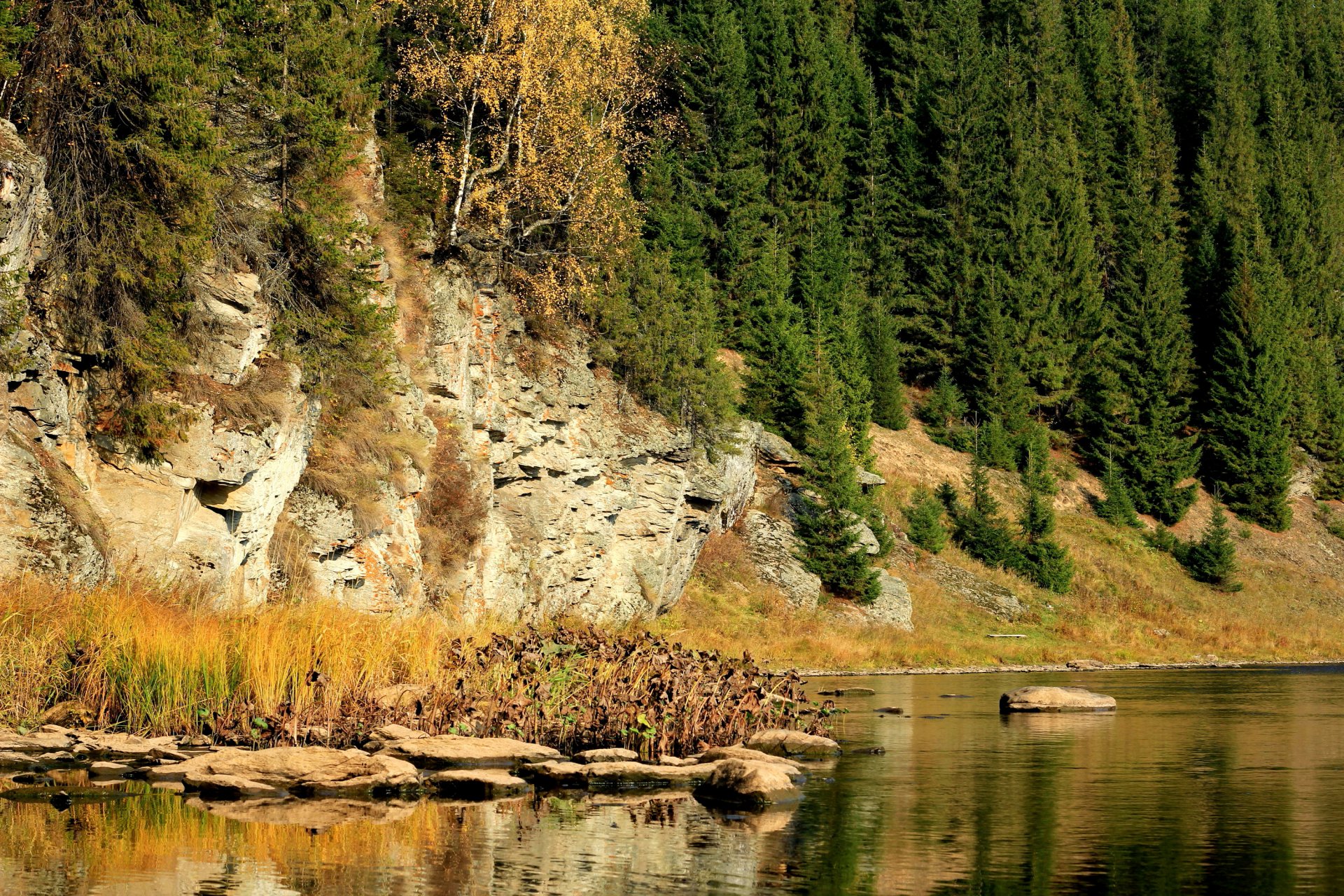 russia perm region koiva river rock stones tree autumn