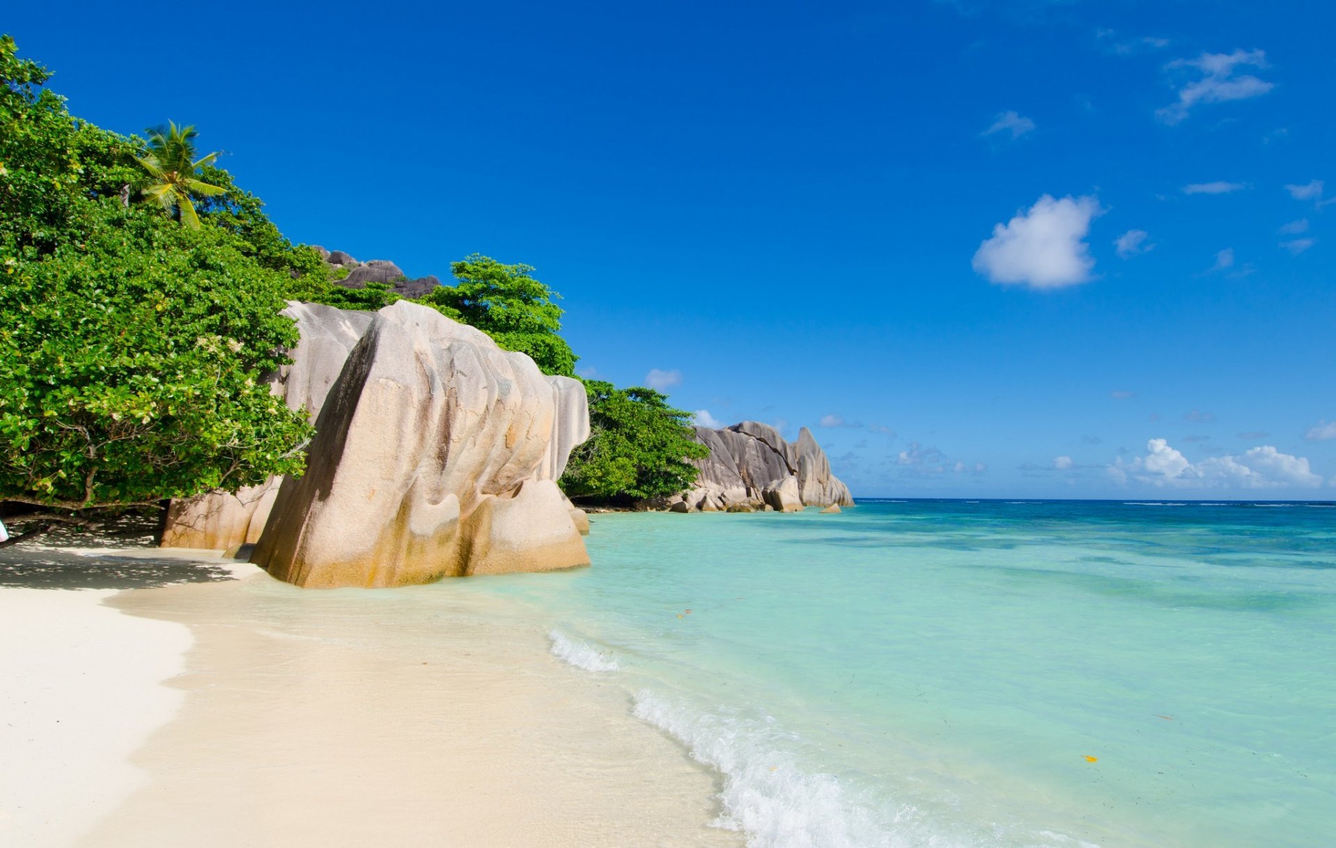 tropics nature landscape sea rock tree