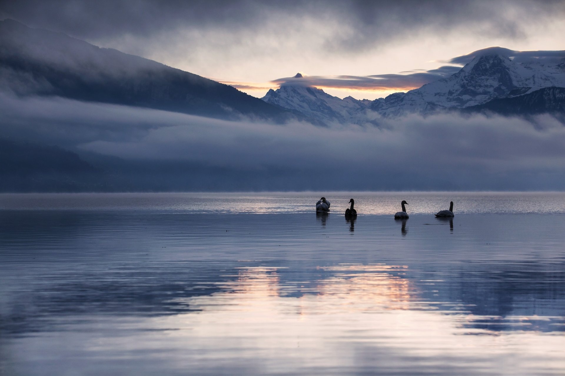 montañas lago reflexión naturaleza paisaje invierno nieve amanecer cisnes