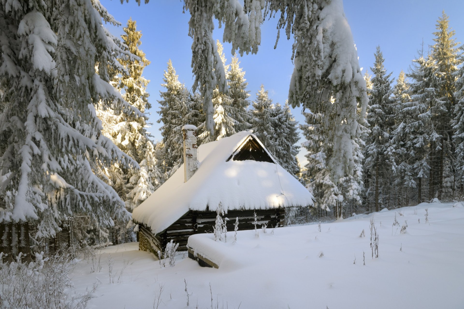 haus wald winter schnee bäume