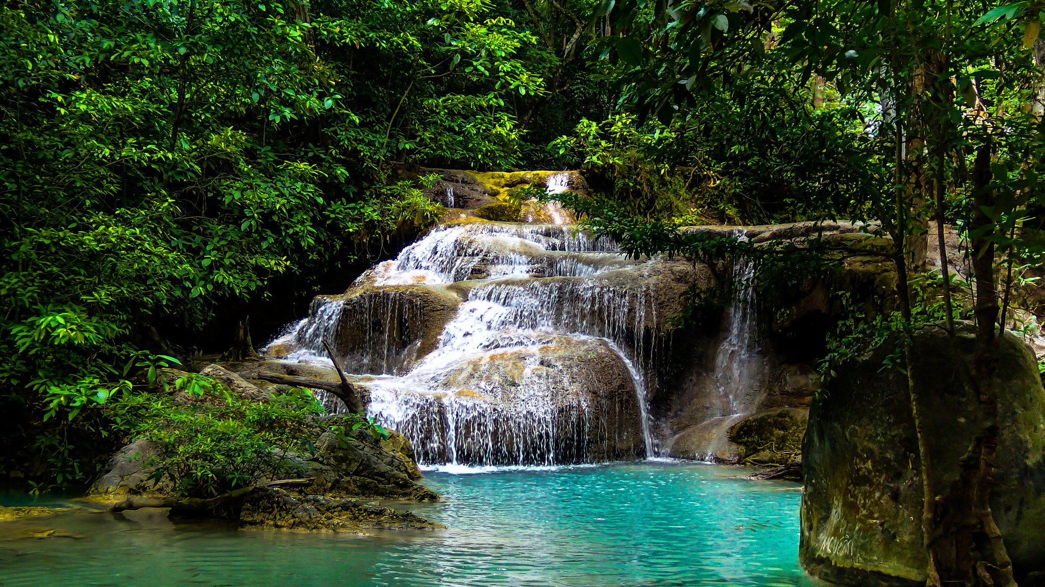 bosque cascada lago árboles