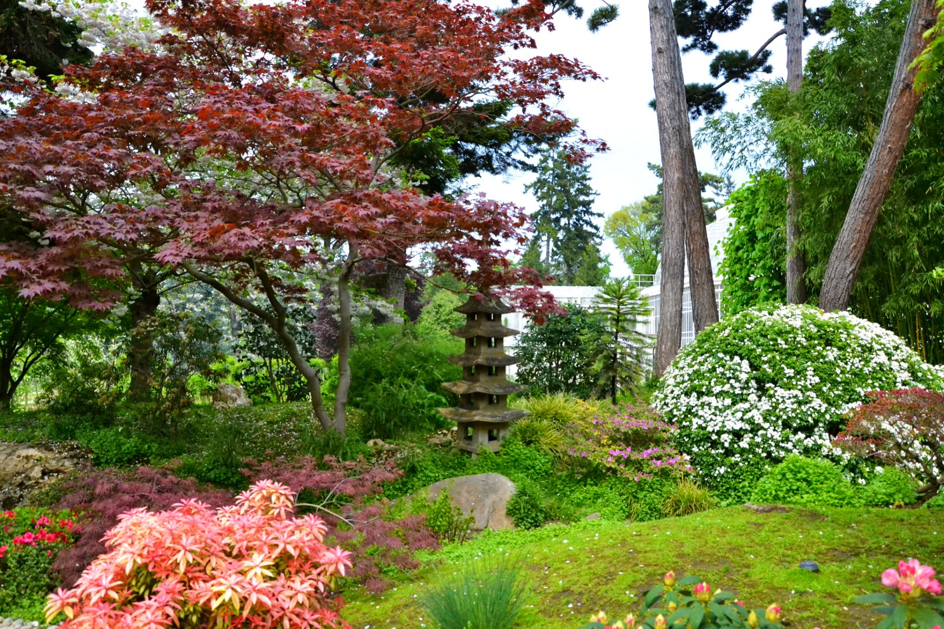 france jardin albert-kahn jardins japonais paris buissons fleurs arbres