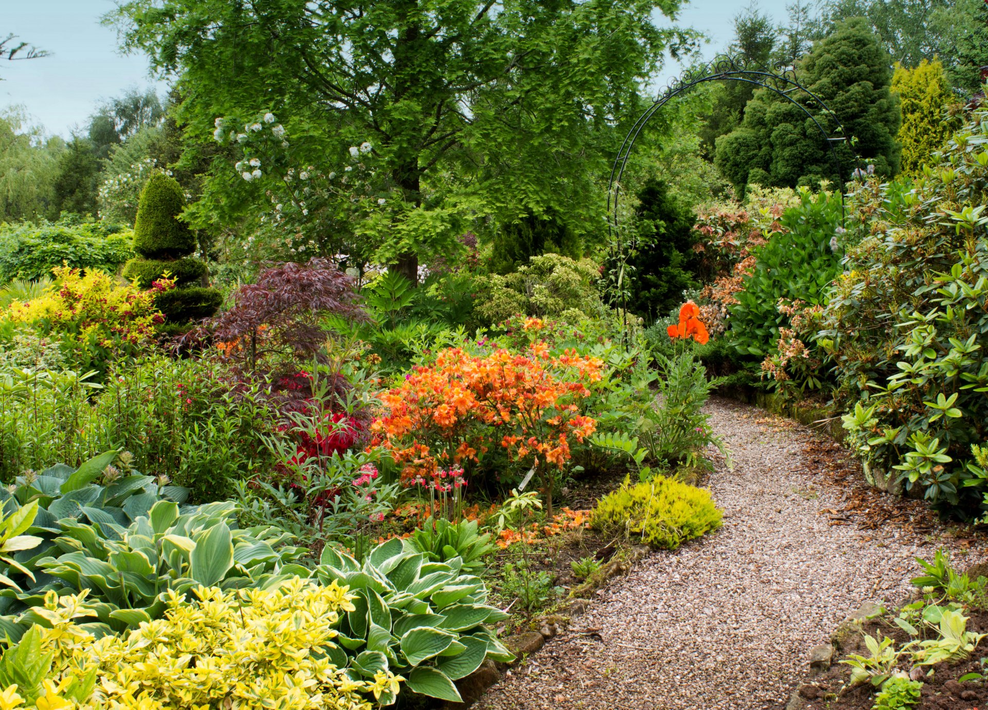 reino unido jardín mount pleasant gardens árboles arbustos hojas vegetación flores camino grava