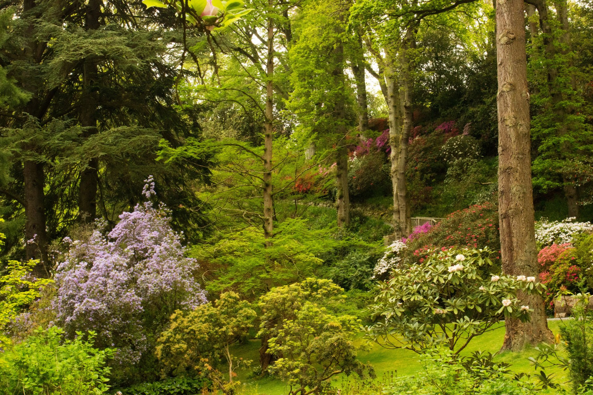 reino unido parque bodnant jardines gales arbustos árboles flores vegetación