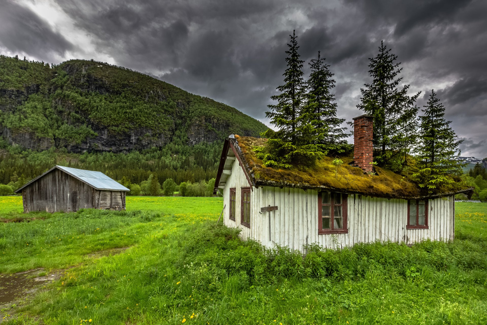 hemsedal norvège norvège maison toit mousse arbres montagnes nature