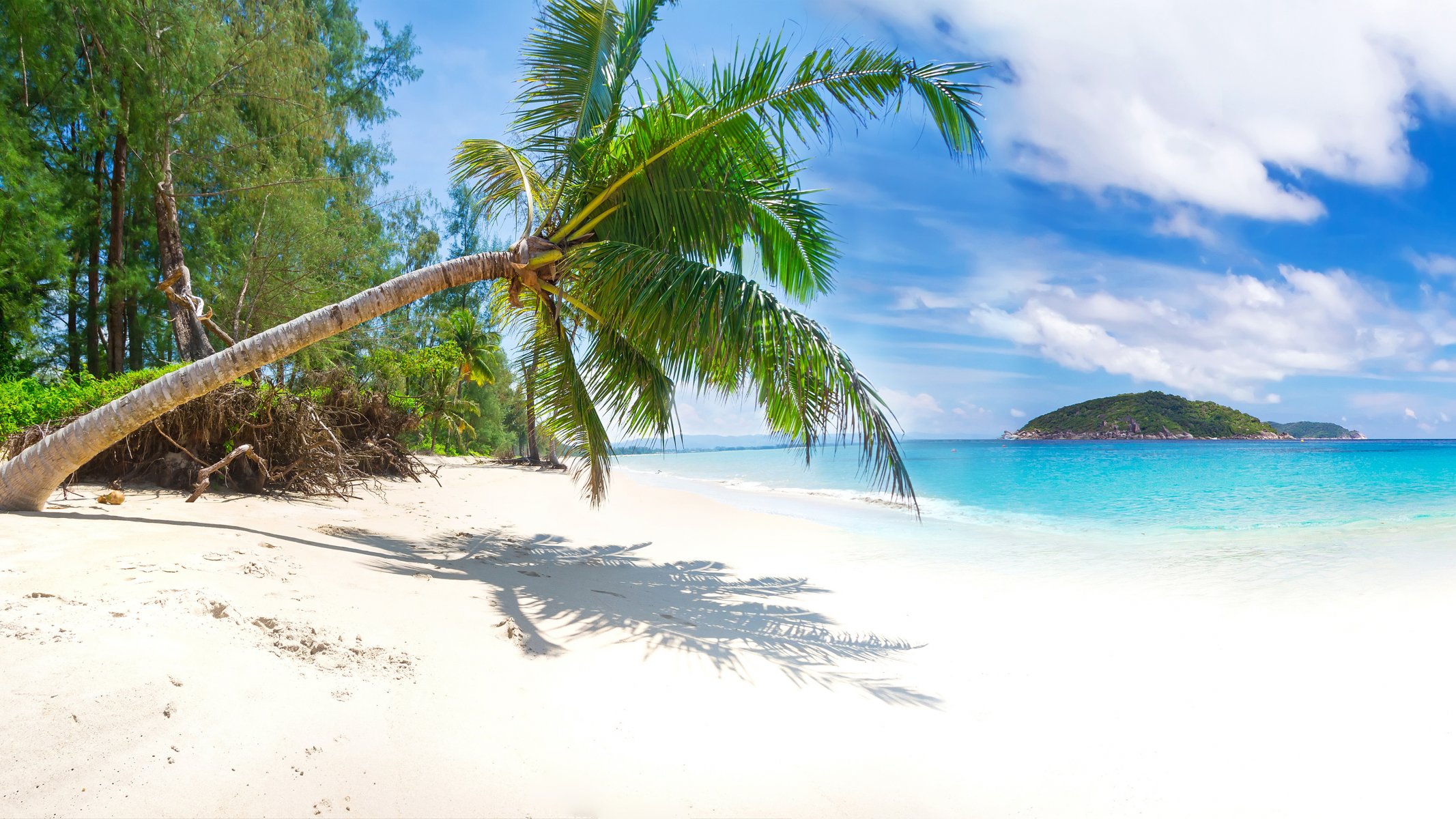 été plage mer côte paradis tropical sable palmiers