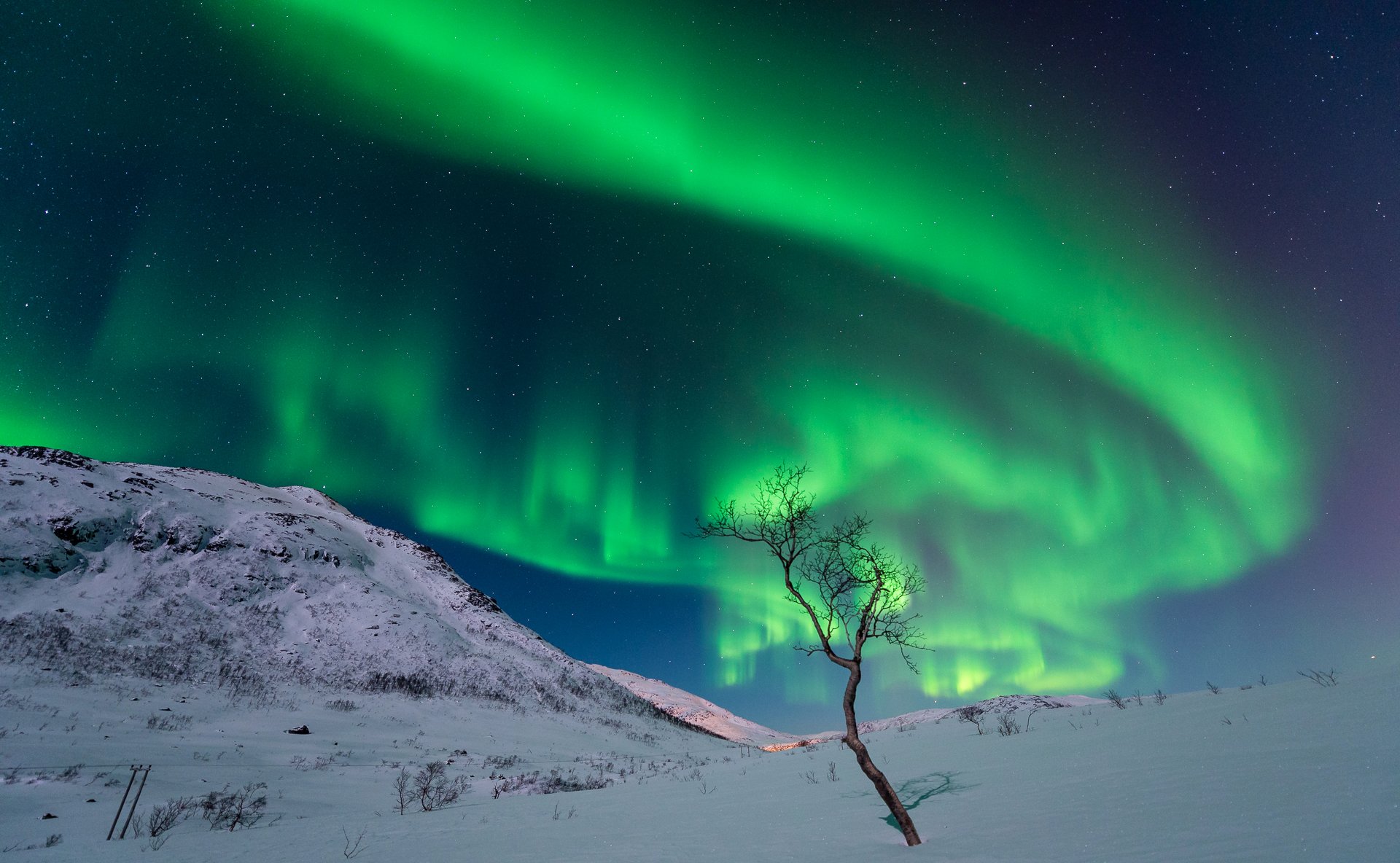 cielo stelle notte splendore montagna neve albero inverno