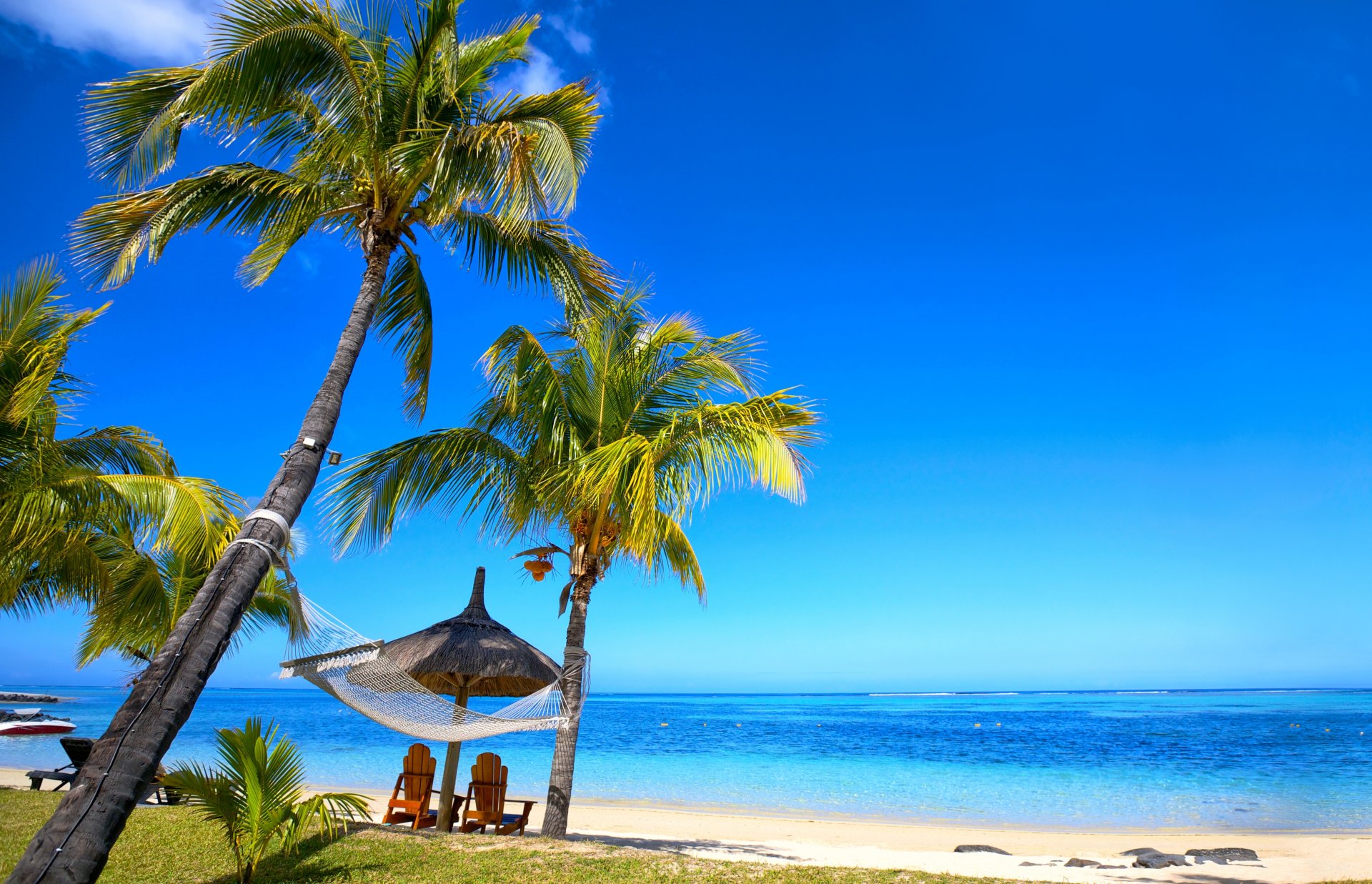 tropical paradis plage palmiers mer océan soleil été loisirs hamac tropiques sable rivage