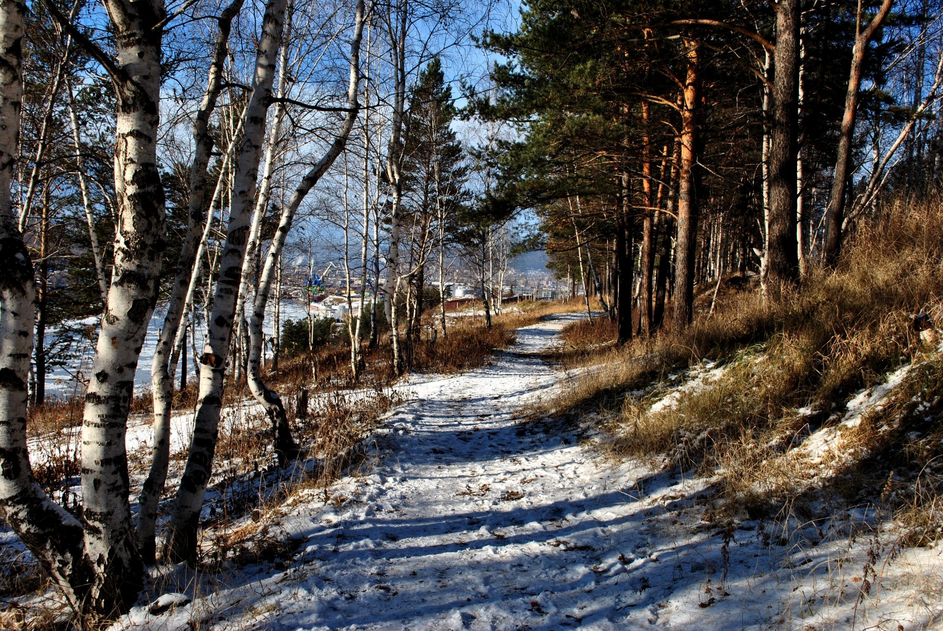 hiver neige sentier forêt passerelle ust-kut