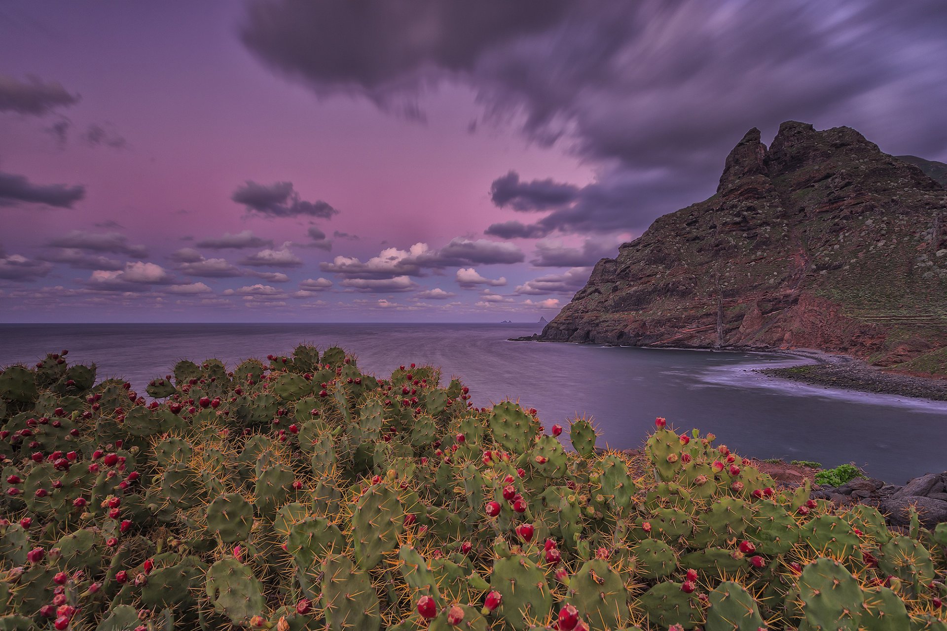 canary islands island tenerife punta del hidalgo atlantic ocean mountain rock flower cactus sky clouds extract