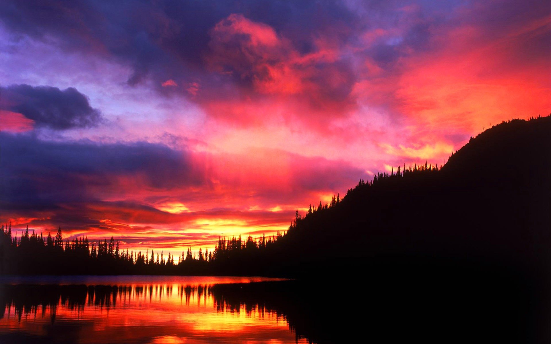 cielo nubes puesta de sol silueta bosque árboles reflexión lago