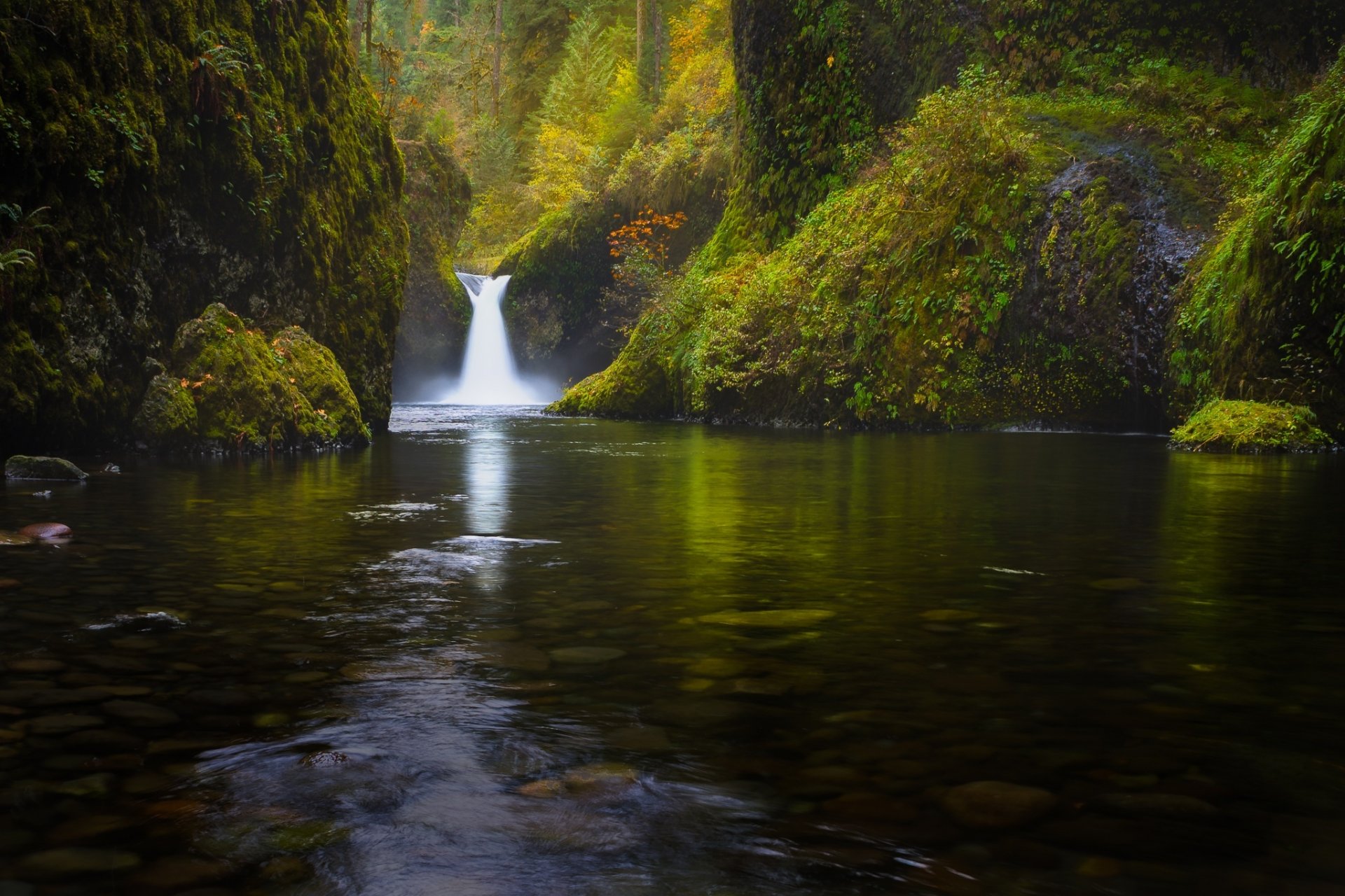 forest waterfall nature . river lake tree