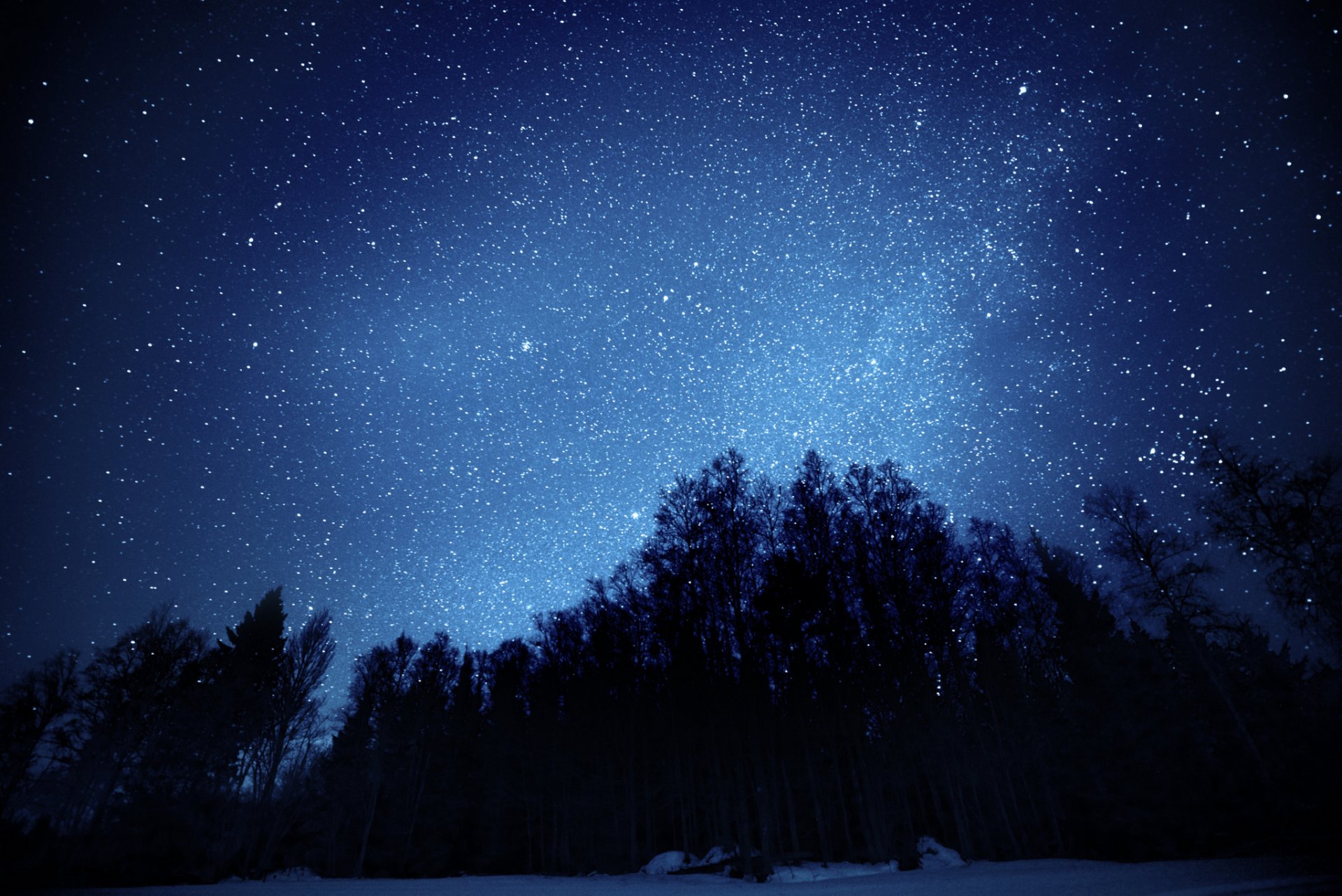 ciel étoiles nuit arbres forêt